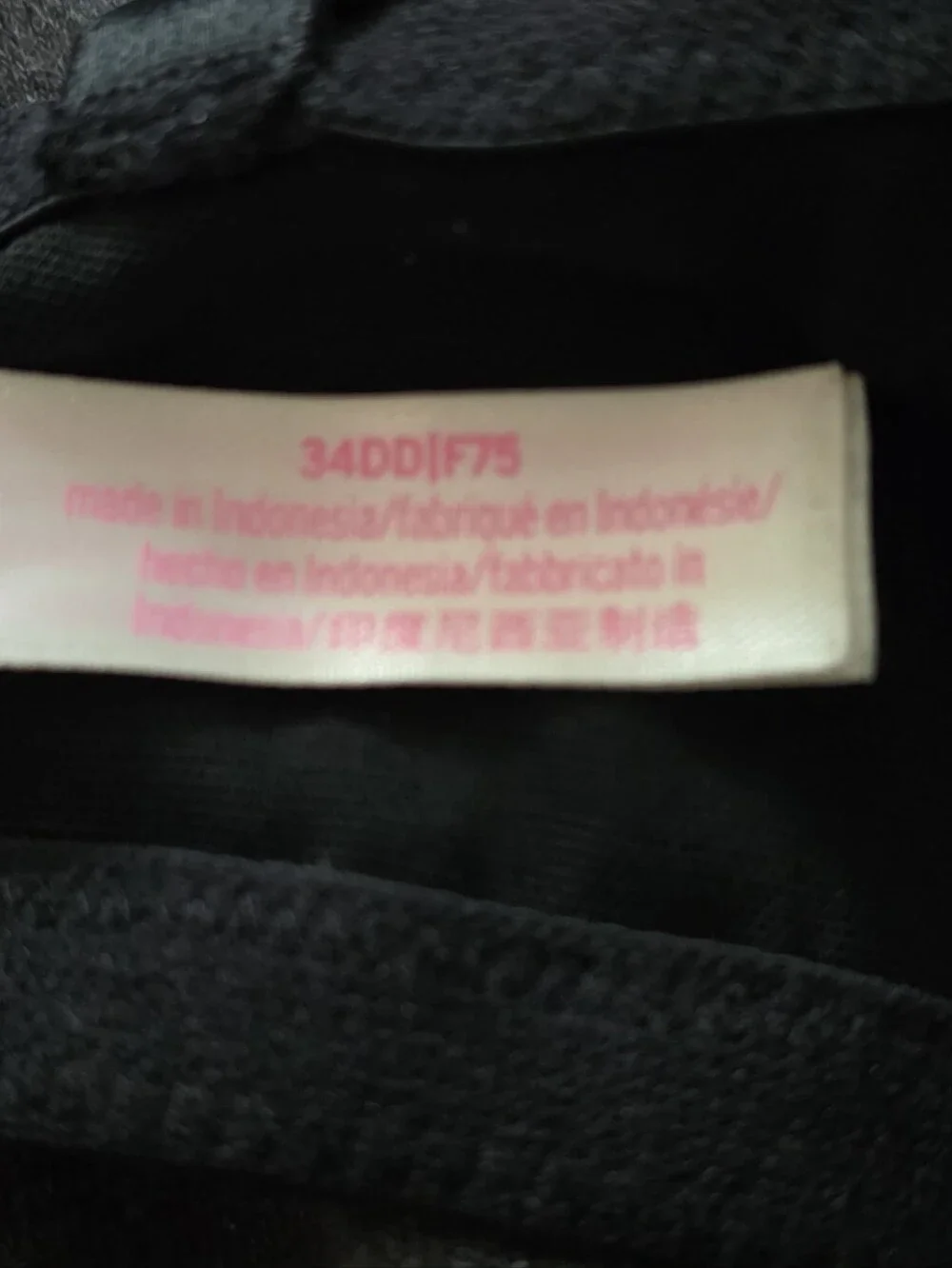 Women's Seamless T-Shirt Bra - Black